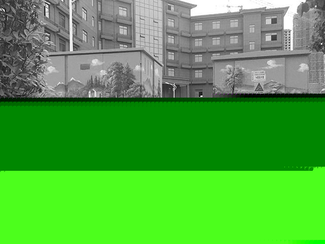 公司團(tuán)隊(duì)